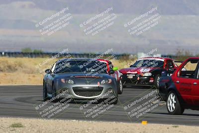 media/Oct-13-2024-Lucky Dog Racing (Sun) [[167cdb2262]]/Stint 1/(Pre Grid and Pace Laps)/